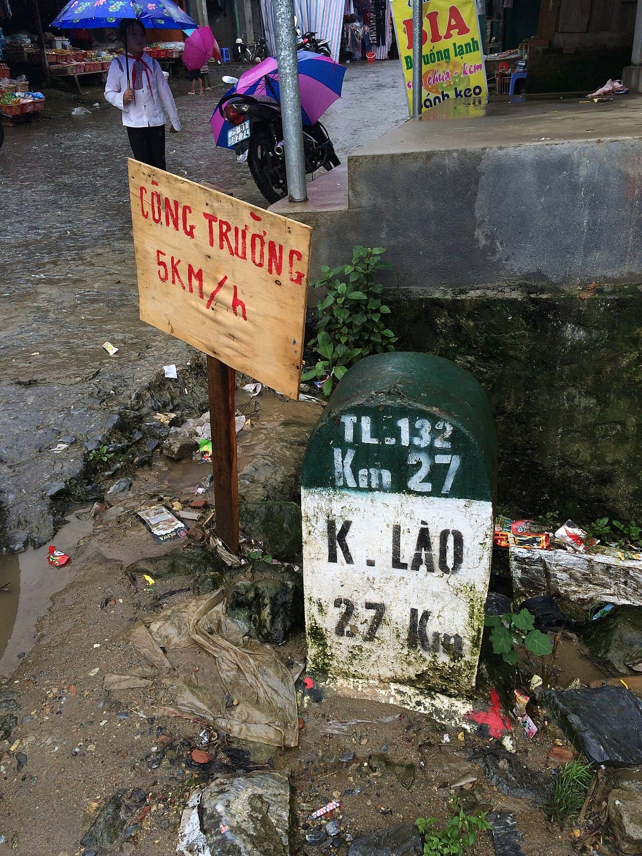 Hội thảo khoa học định hướng phát triển Sâm Lai Châu bền vững